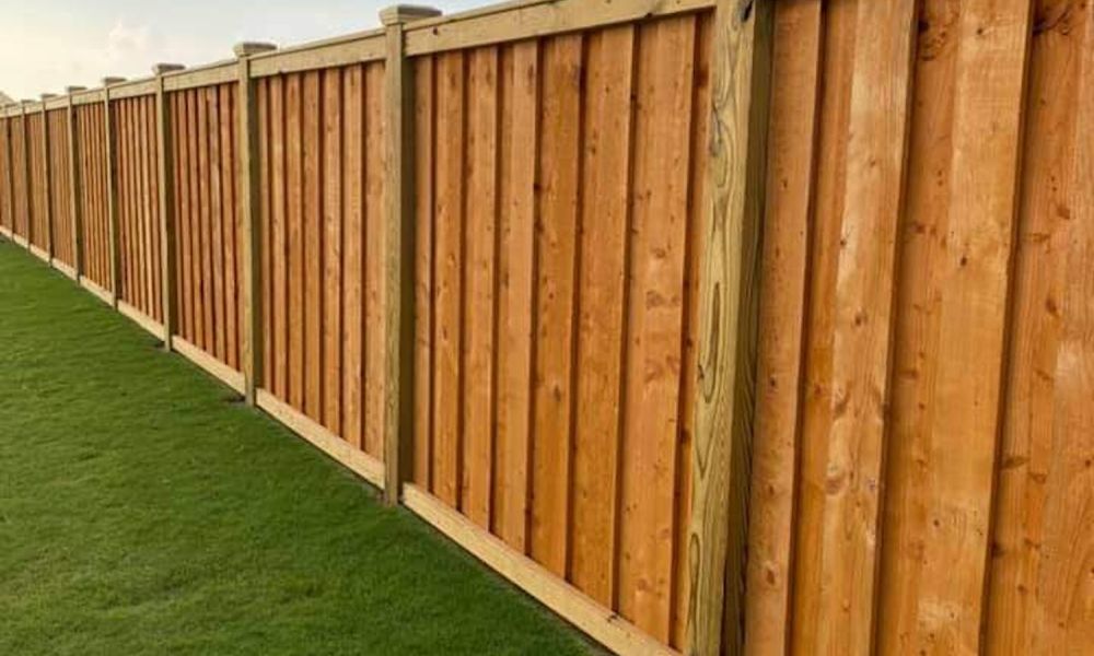 Wooden privacy fence alongside a green lawn under a clear blue sky.